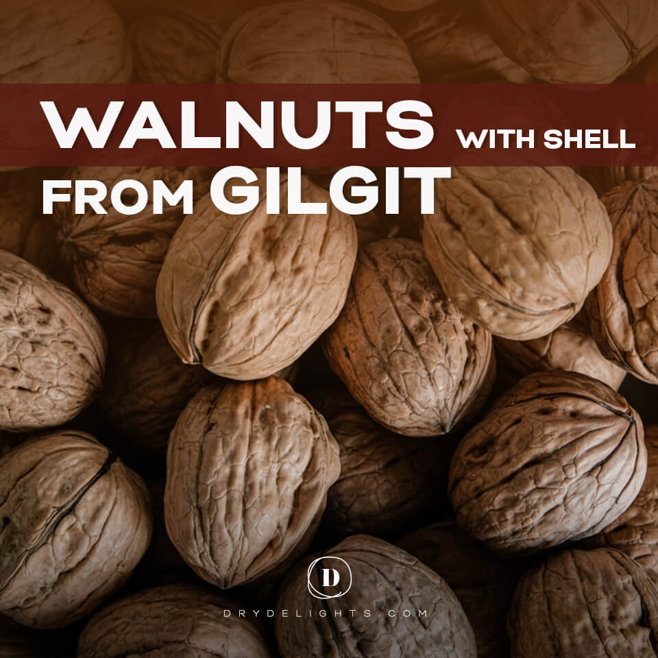 Walnuts with shell from Gilgit