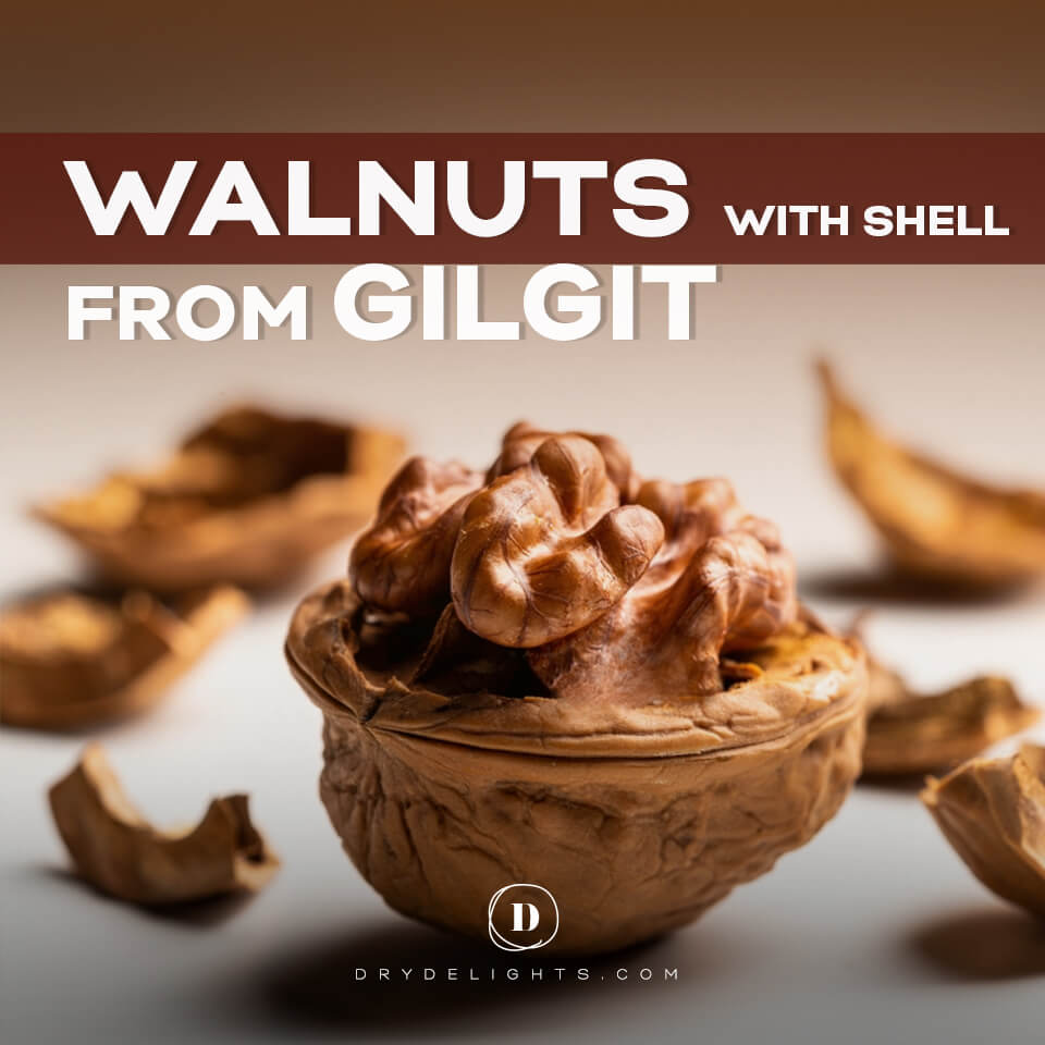 Walnuts with shell from Gilgit